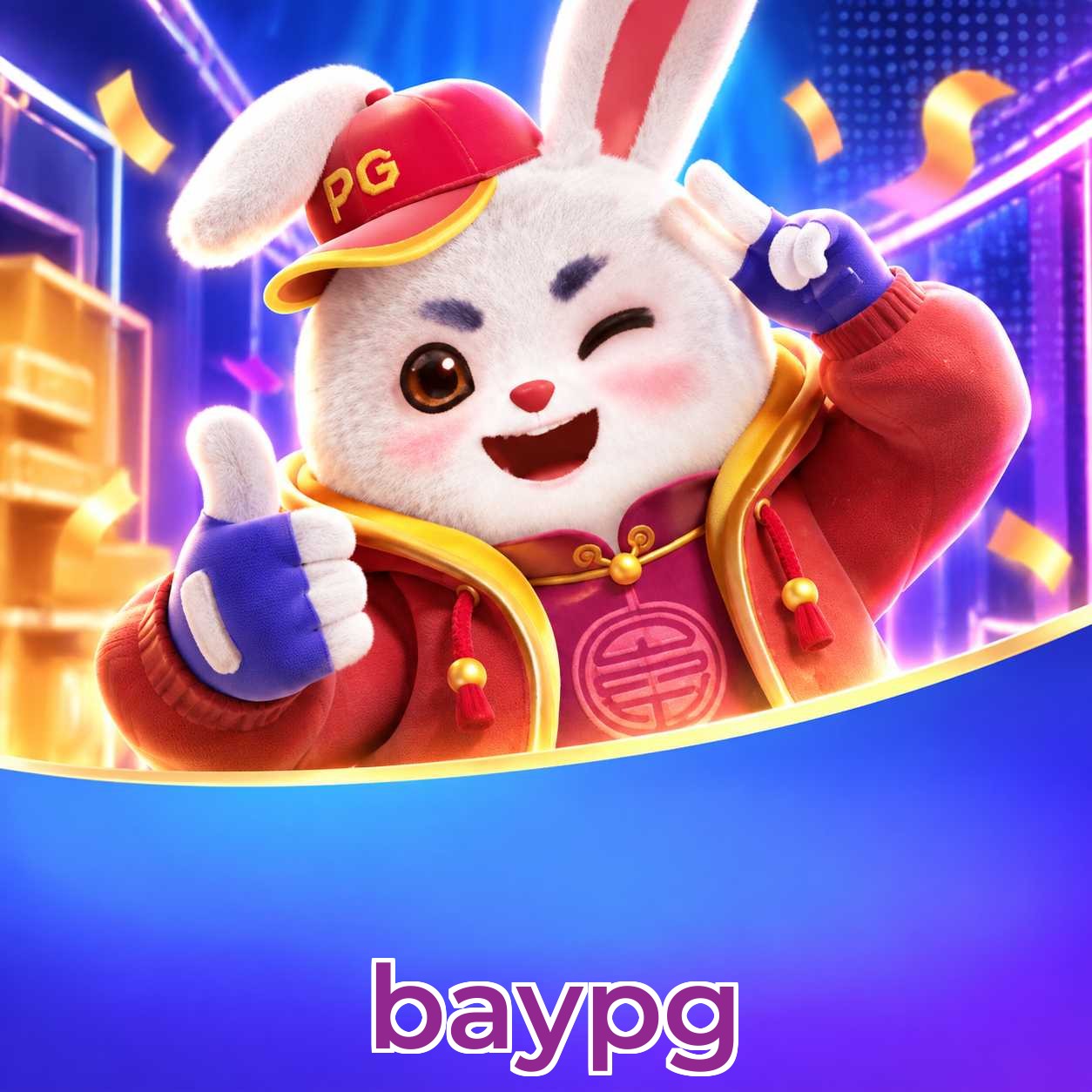 baypg Security Analysis