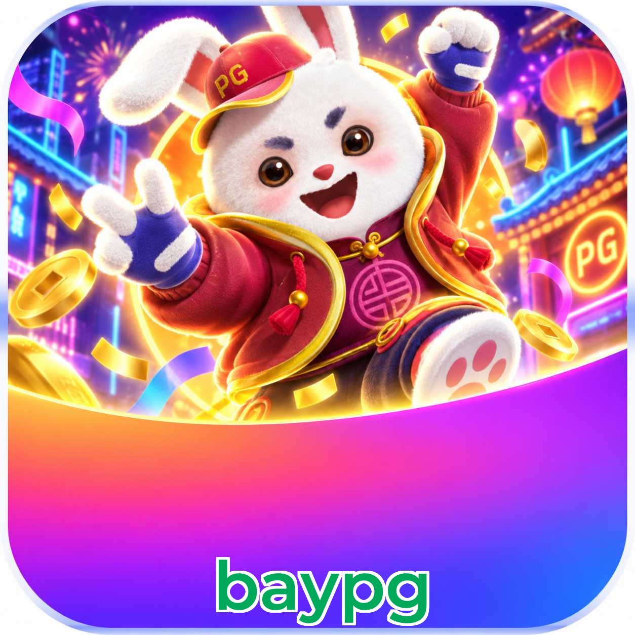 baypg KYC Verification